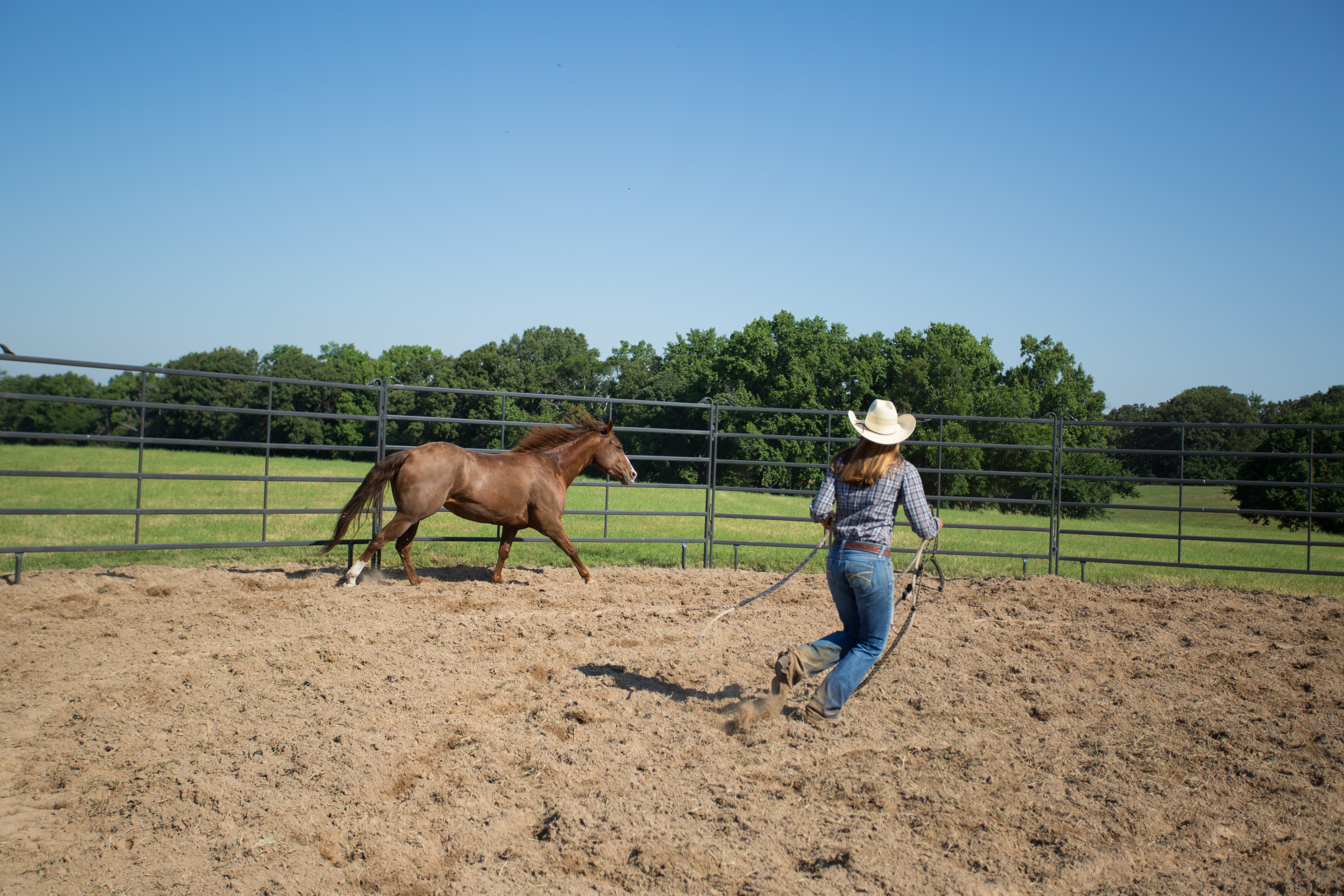 Premier Tall Round Pen PPT50 81.jpg